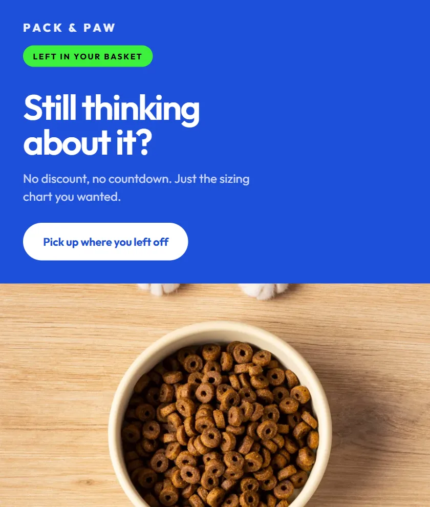 Concept abandoned-cart email for a pet brand offering a sizing chart rather than a discount